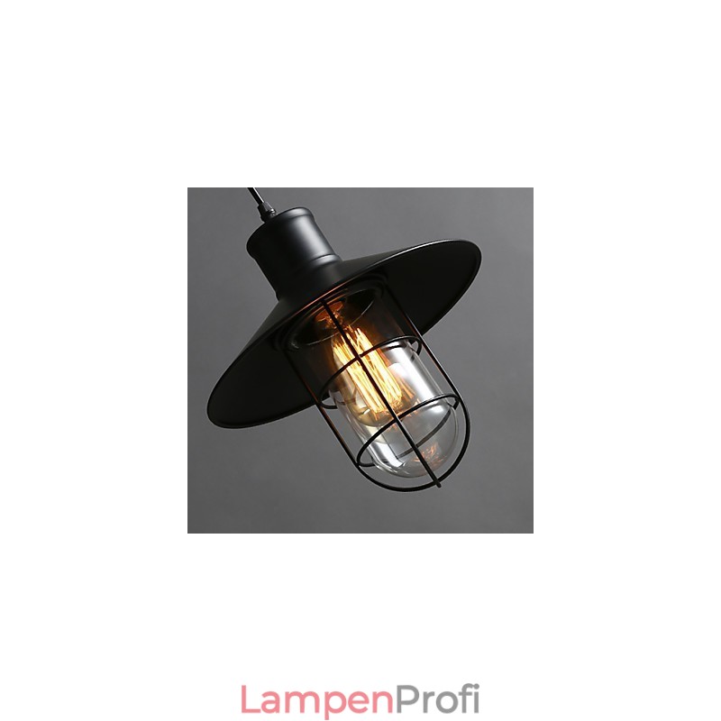 Einkopf-Vogelkäfig-Kronleuchterlampe