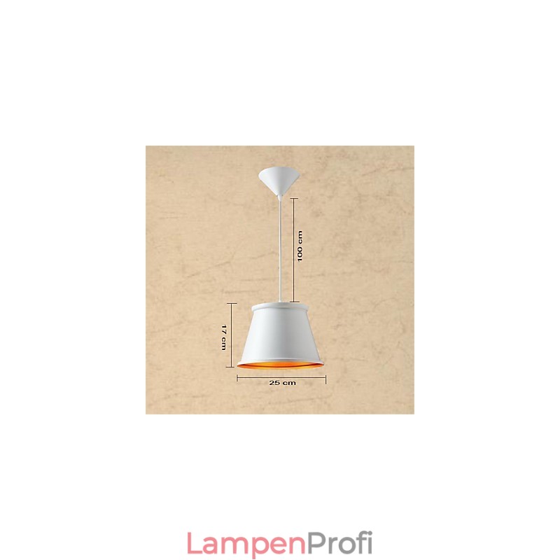 Klassische rustikale Lodge Vintage Mini-Stil Malerei Metall Pendelleuchte