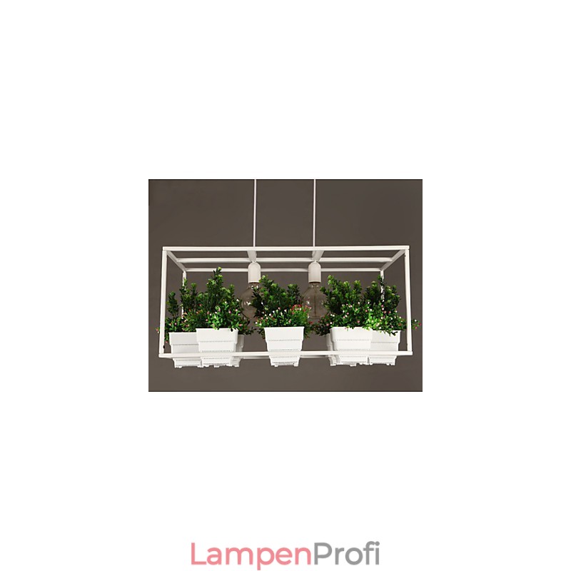 Moderne Pendelleuchte im zeitgenössischen dekorativen Design (ohne Pflanzen)