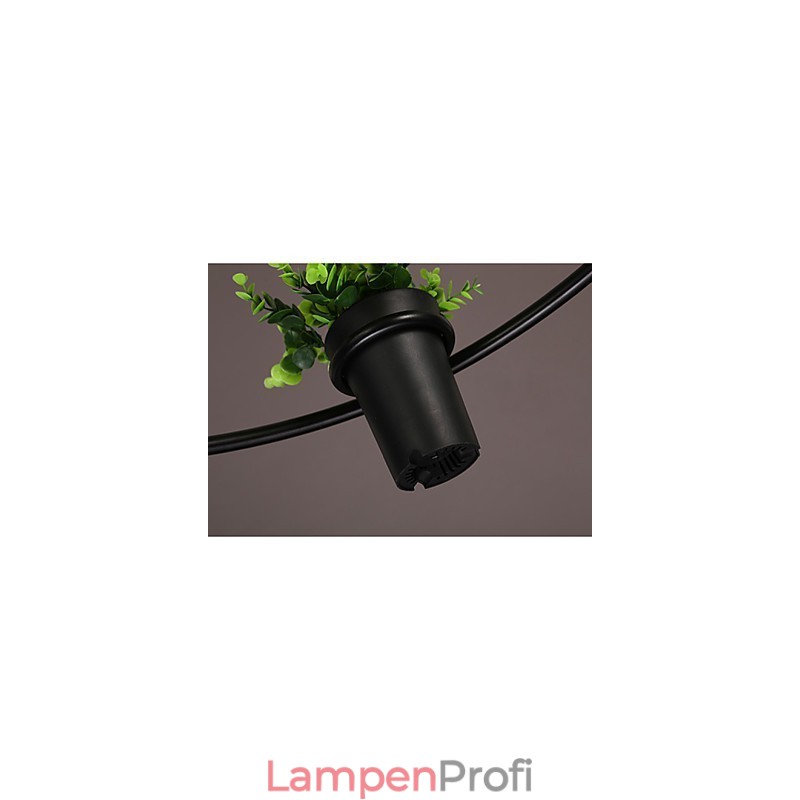 Moderne Pendelleuchte im zeitgenössischen dekorativen Design (ohne Pflanzen)