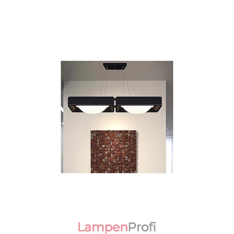 Pendelleuchten 2 Licht Modern Einfach Künstlerisch