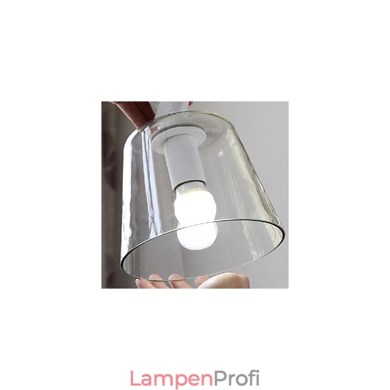 Einzelkopf-Entenküken Vögel Glas-Kronleuchter Mahlzeiten Kronleuchter