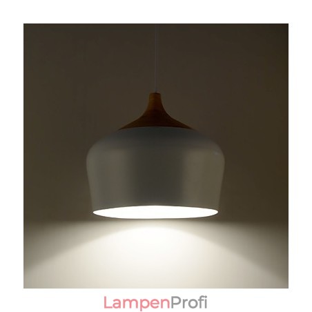 Pendelleuchten Modern Zeitgenössisch Metall