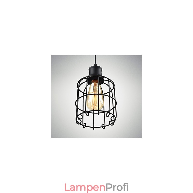 Edison Vintage Licht Anhänger Lampe Leuchte Kronleuchter Käfig Lampenschirm