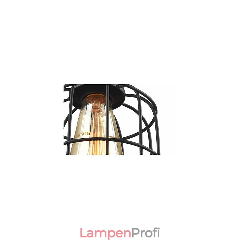 Edison Vintage Licht Anhänger Lampe Leuchte Kronleuchter Käfig Lampenschirm