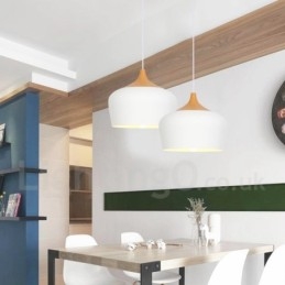 Moderne zeitgenössische Pendelleuchte mit 1 Licht