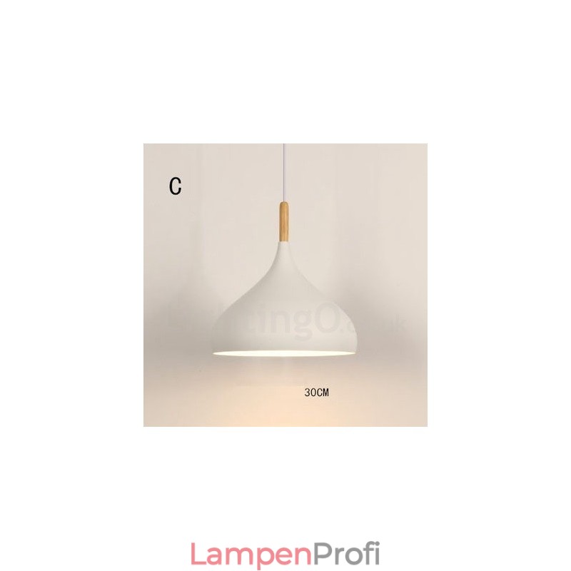 Moderne zeitgenössische Pendelleuchte mit 1 Licht