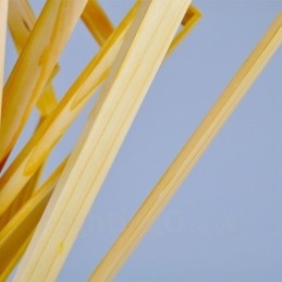 1 Licht Holz Moderne zeitgenössische Pendelleuchte im nordischen Stil mit Holzschirm