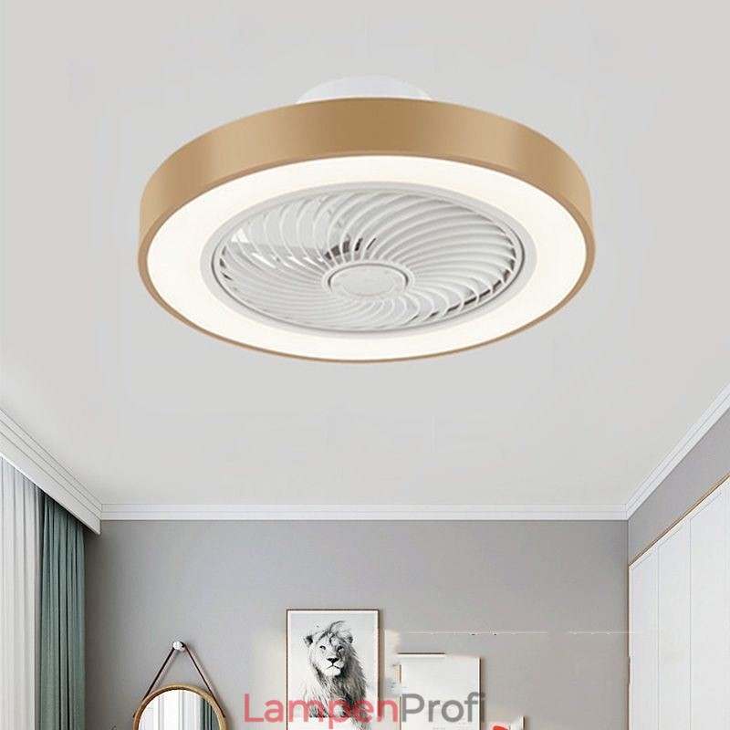 Moderne Deckenventilatorleuchten mit Fernbedienung, runde Deckenleuchte aus Acryl