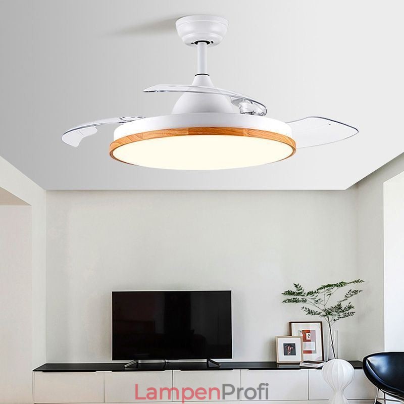 Moderne Inverter Deckenventilator Licht Fernbedienung Deckenleuchte Tricolor Dimmen