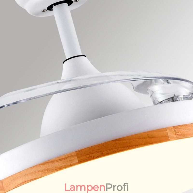 Moderne Inverter Deckenventilator Licht Fernbedienung Deckenleuchte Tricolor Dimmen