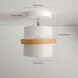 Runde Macaron Spotlight Chromatische Deckenleuchte (Einzellicht)