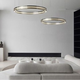 Glass Ceiling Light 60+80CM Circle Decoration Double Circle Pendant Light Trichromatic Dimming