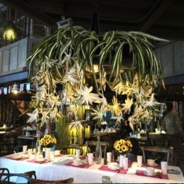 Home Pendelleuchte Industriestil Künstliche Pflanze dekoriert Kronleuchter