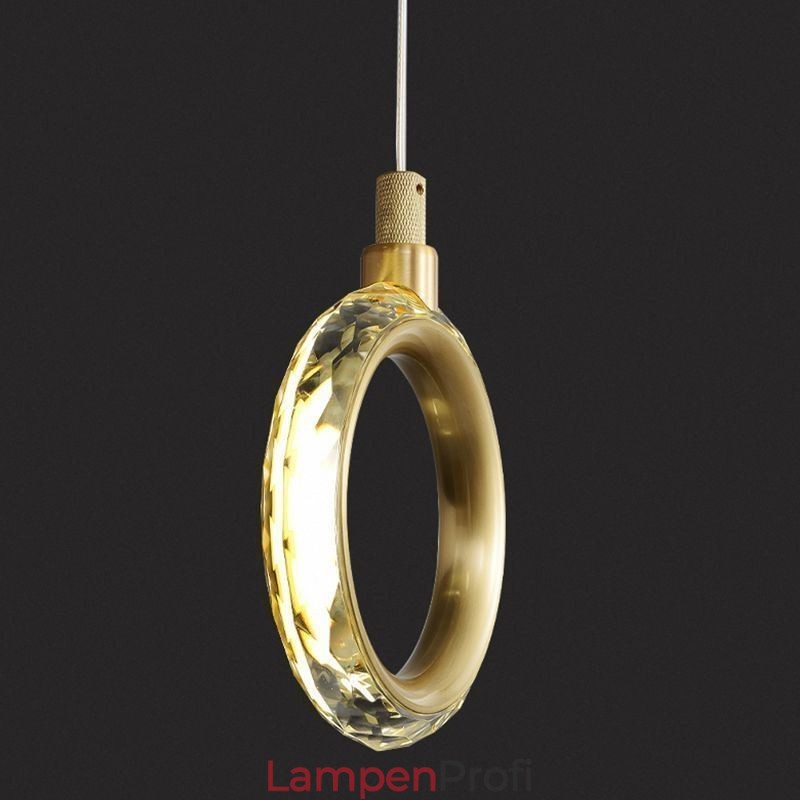 Pendelleuchte Acryl Ringleuchte mit Strahler