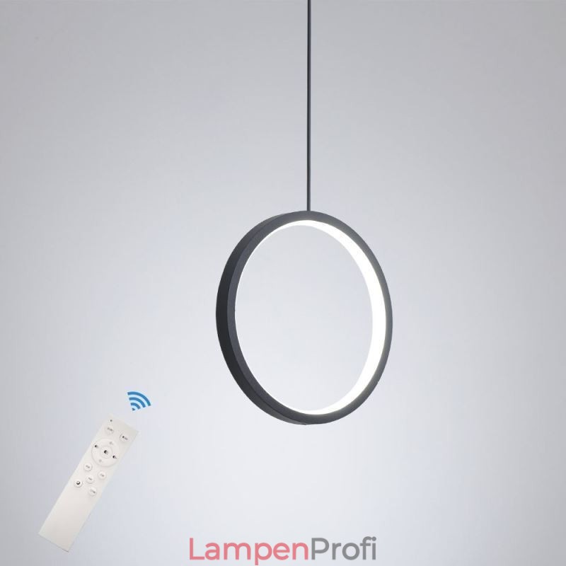 Minimalistische Ring Pendelleuchte Dekorative Deckenleuchte