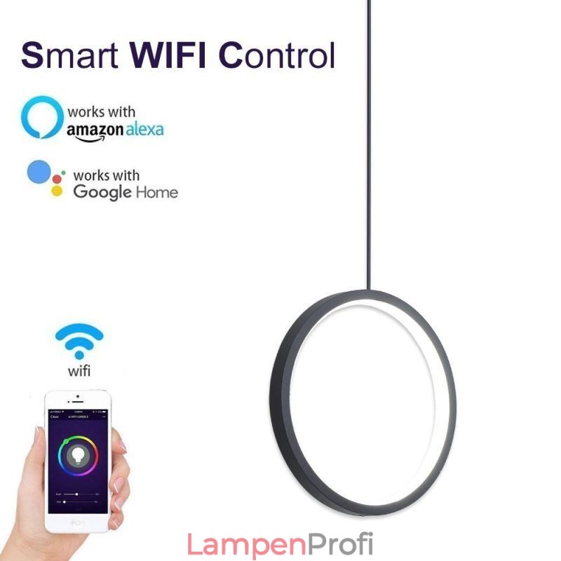 Minimalistische Ring Pendelleuchte Dekorative Deckenleuchte