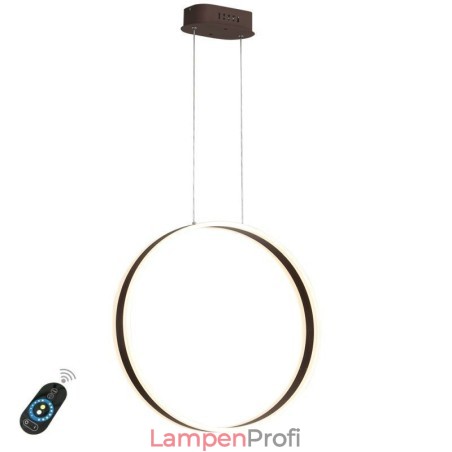 Nordische Pendelleuchte Acryl Ringform Pendelleuchte Nordische Pendelleuchte Acryl Ringform Pendelleuchte
