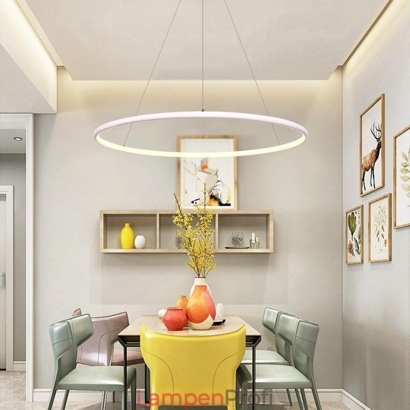 Moderne Pendelleuchte Kreislampe 60cm 80cm