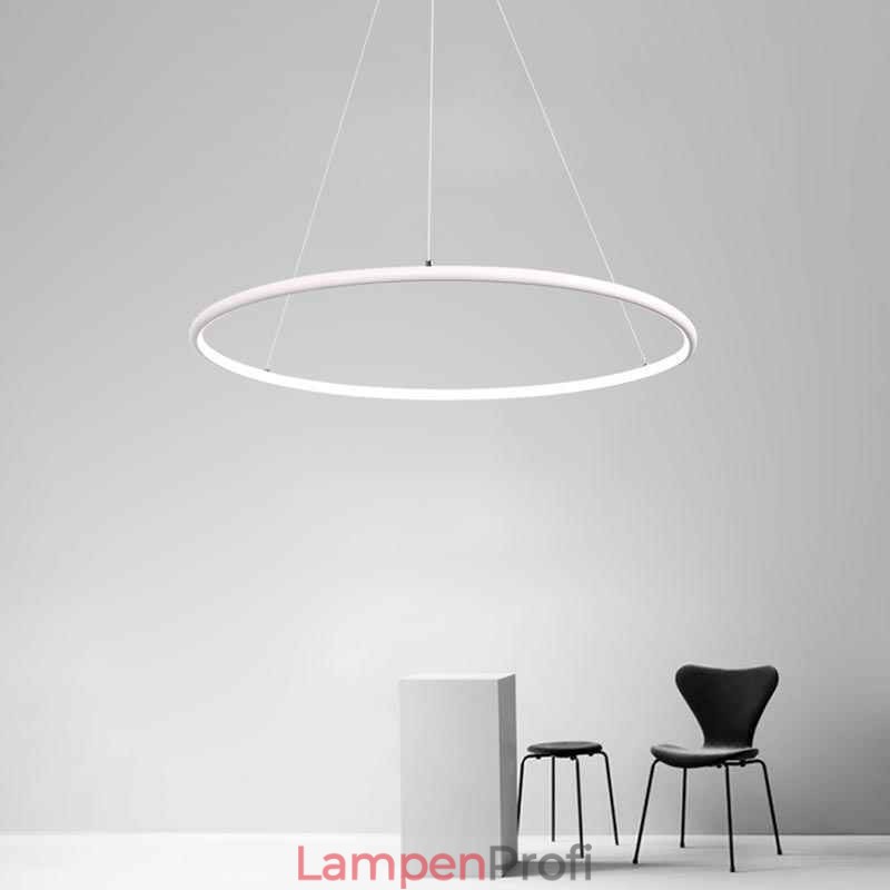 Moderne Pendelleuchte Kreislampe 60cm 80cm