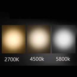 Schienenstrahler Frei fokussierbare Akzentbeleuchtung