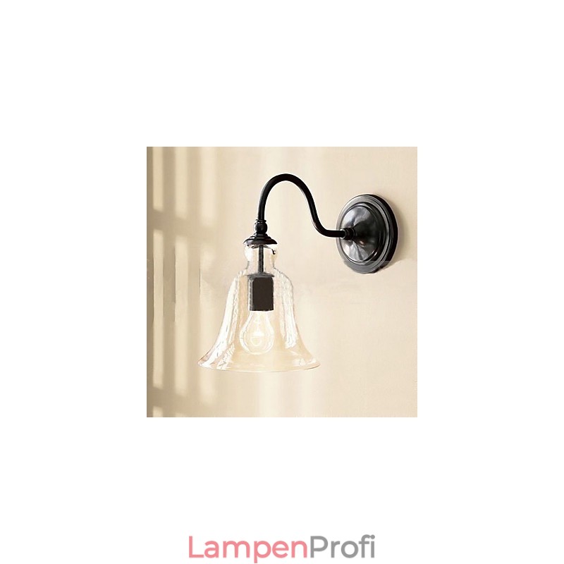 Von der Natur inspirierte Wandleuchte aus Eisen mit transparentem Glasschirm