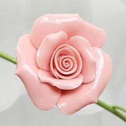 Valentinstag: Die Blumen und Pflanzen des Rosengartens absorbieren das Licht der Kuppel