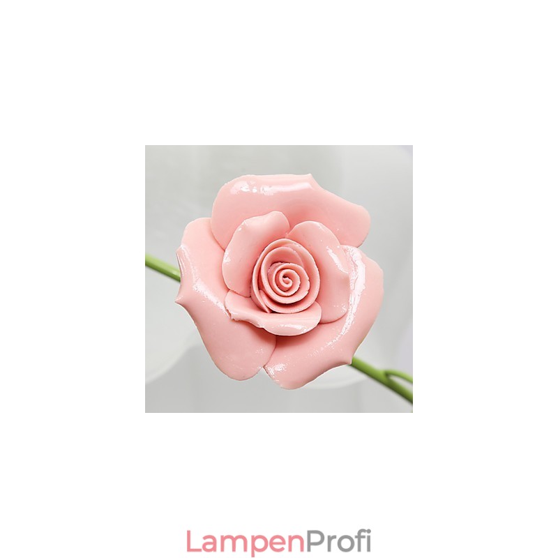 Valentinstag: Die Blumen und Pflanzen des Rosengartens absorbieren das Licht der Kuppel