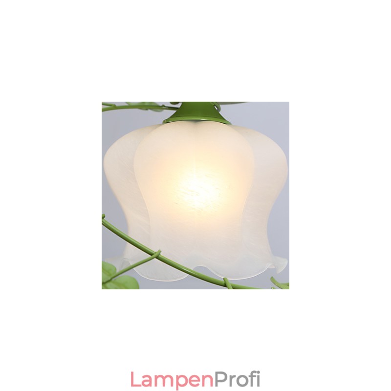 Valentinstag: Die Blumen und Pflanzen des Rosengartens absorbieren das Licht der Kuppel