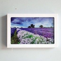 Integrierte moderne zeitgenössische moderne zeitgenössische Malerei-Funktion für Ambient Light Wandleuchten