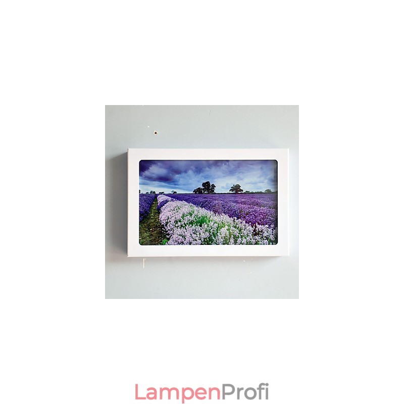 Integrierte moderne zeitgenössische moderne zeitgenössische Malerei-Funktion für Ambient Light Wandleuchten