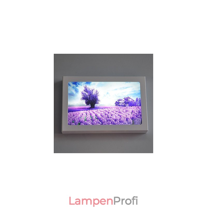 Integrierte moderne zeitgenössische moderne zeitgenössische Malerei-Funktion für Ambient Light Wandleuchten