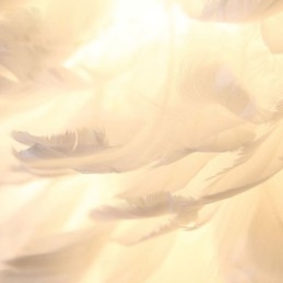 Kreative Feder Wandleuchte Dekorative Wandleuchte