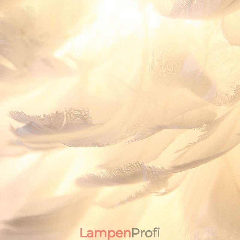 Kreative Feder Wandleuchte Dekorative Wandleuchte