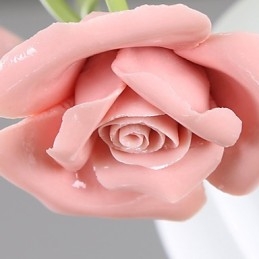 Valentinstag: Die Blumen und Pflanzen des Rosengartens absorbieren das Licht der Kuppel