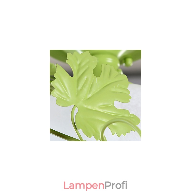 Valentinstag: Die Blumen und Pflanzen des Rosengartens absorbieren das Licht der Kuppel