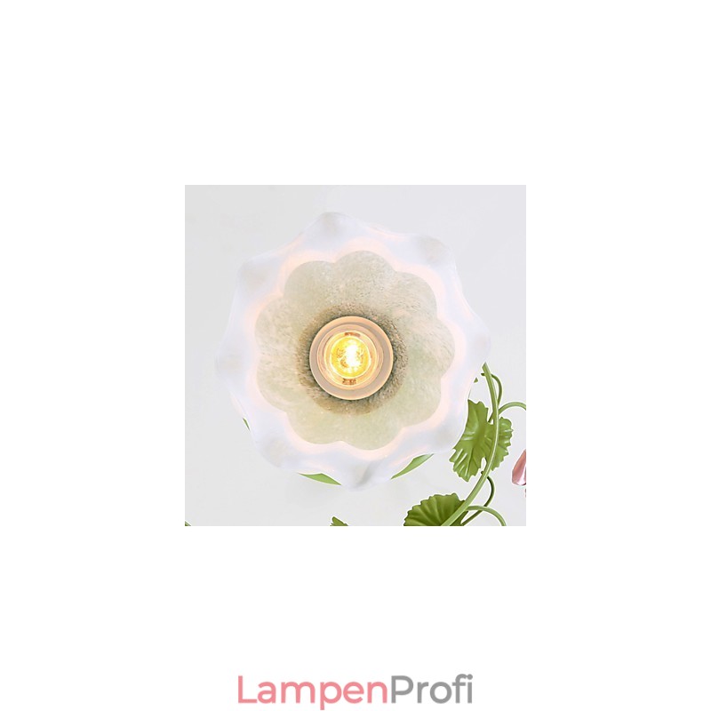 Valentinstag: Die Blumen und Pflanzen des Rosengartens absorbieren das Licht der Kuppel