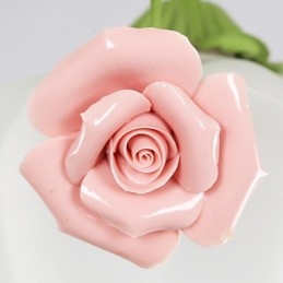 Gartenblumen und -pflanzen zum Valentinstag absorbieren Kuppellicht