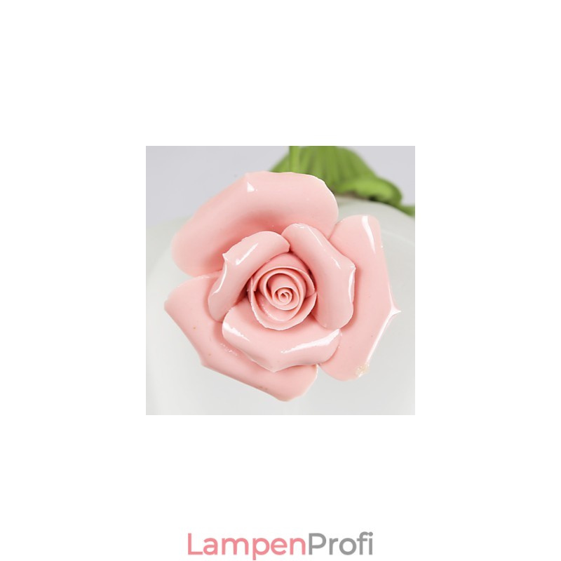 Gartenblumen und -pflanzen zum Valentinstag absorbieren Kuppellicht