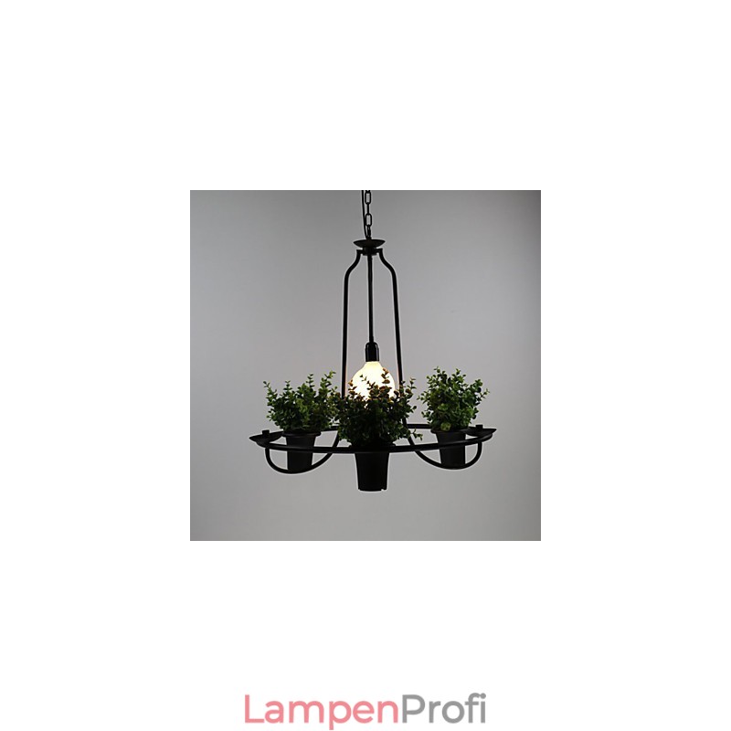 Mediterrane Gartenblumen Licht