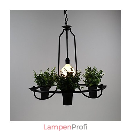 Mediterrane Gartenblumen Licht Mediterrane Gartenblumen Licht