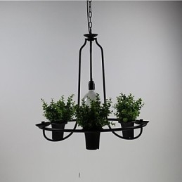 Mediterrane Gartenblumen Licht