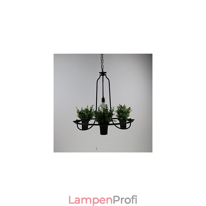 Mediterrane Gartenblumen Licht