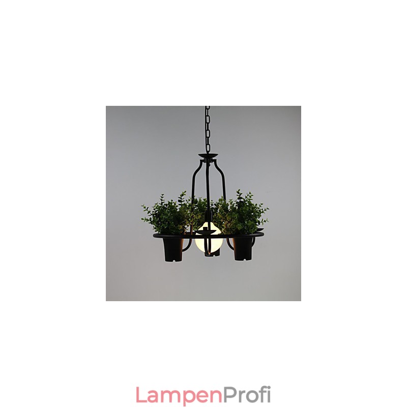 Mediterrane Gartenblumen Licht