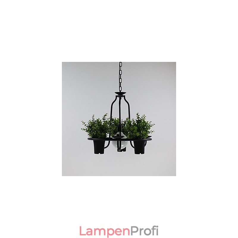 Mediterrane Gartenblumen Licht