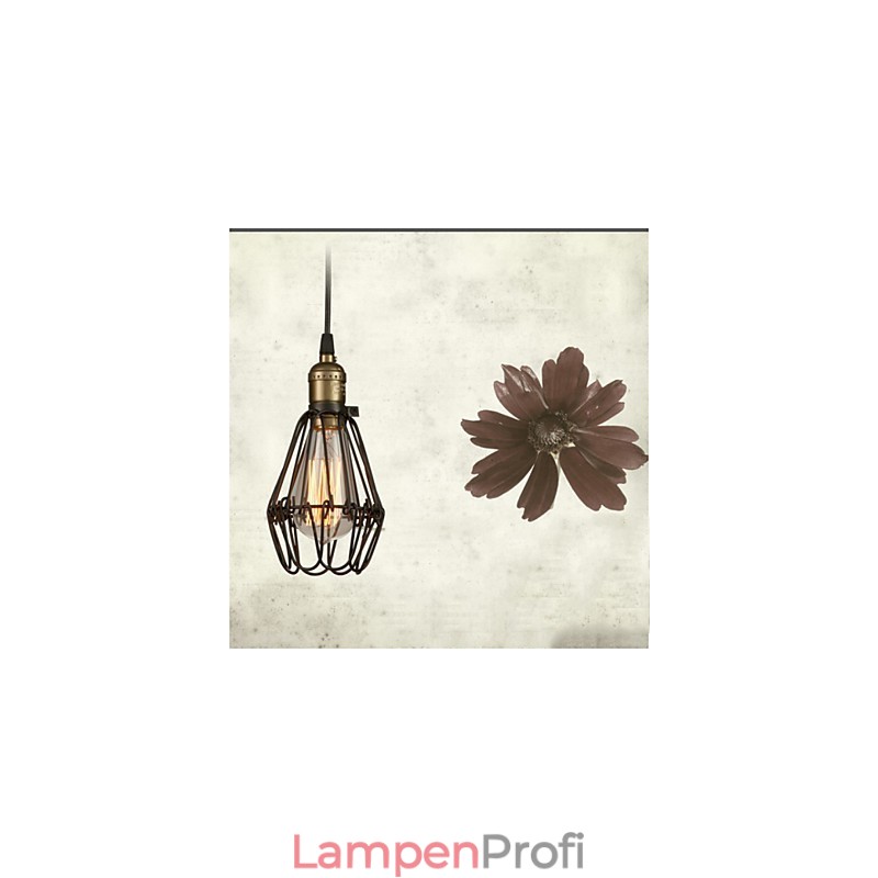 Pendelleuchten Vintage Amerikanischer Landhausstil, der alte Wege schmiedeeiserne kleine Käfig-Droplight wiederherstellt