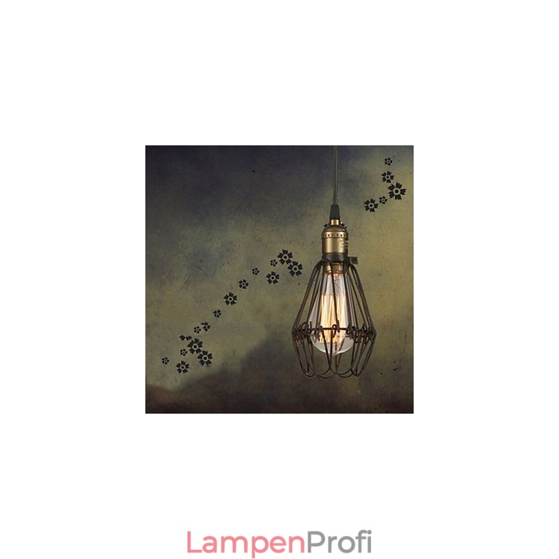 Pendelleuchten Vintage Amerikanischer Landhausstil, der alte Wege schmiedeeiserne kleine Käfig-Droplight wiederherstellt