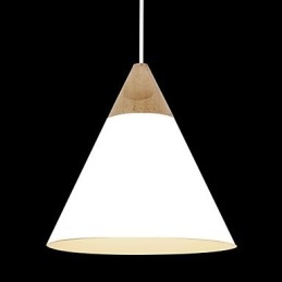 Mini Künstlerische Kegel Pendelleuchte 1 Licht Mordern Simplicity Finish Schwarz Weiß Staubblau Aluminium & Holz Droplight