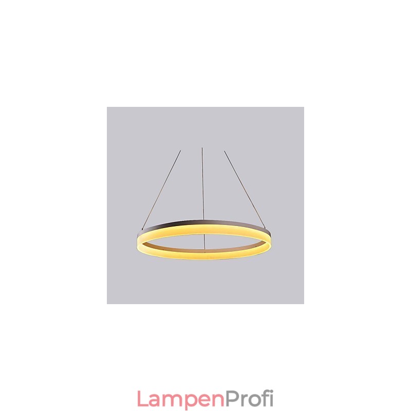 Runder Anhänger, abgehängt, rundes Loch, perforiertes Panel