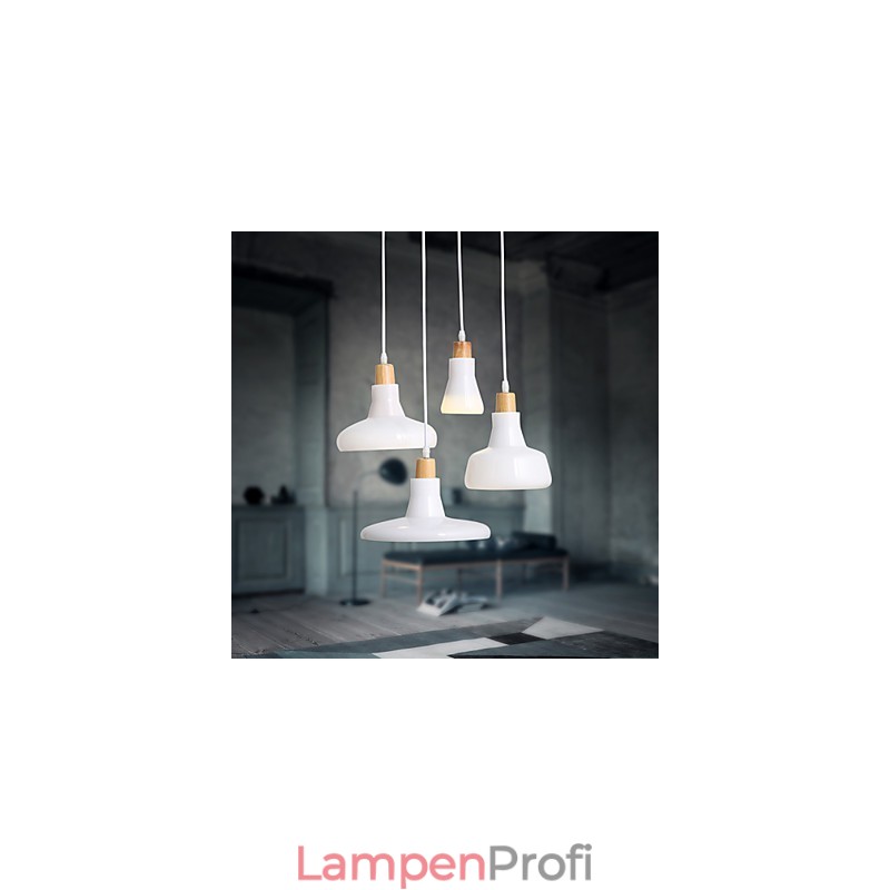 Kreative charakteristische 4-flammige Pendelleuchte mit Eisenschirm